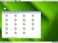 GNOME 2.24.Tiedostonhallintaohjelma Nautilus näyttämässä juurihakemistoa.
