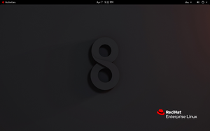 Red Hat Enterprise Linux 8 Workstation screenshot.png